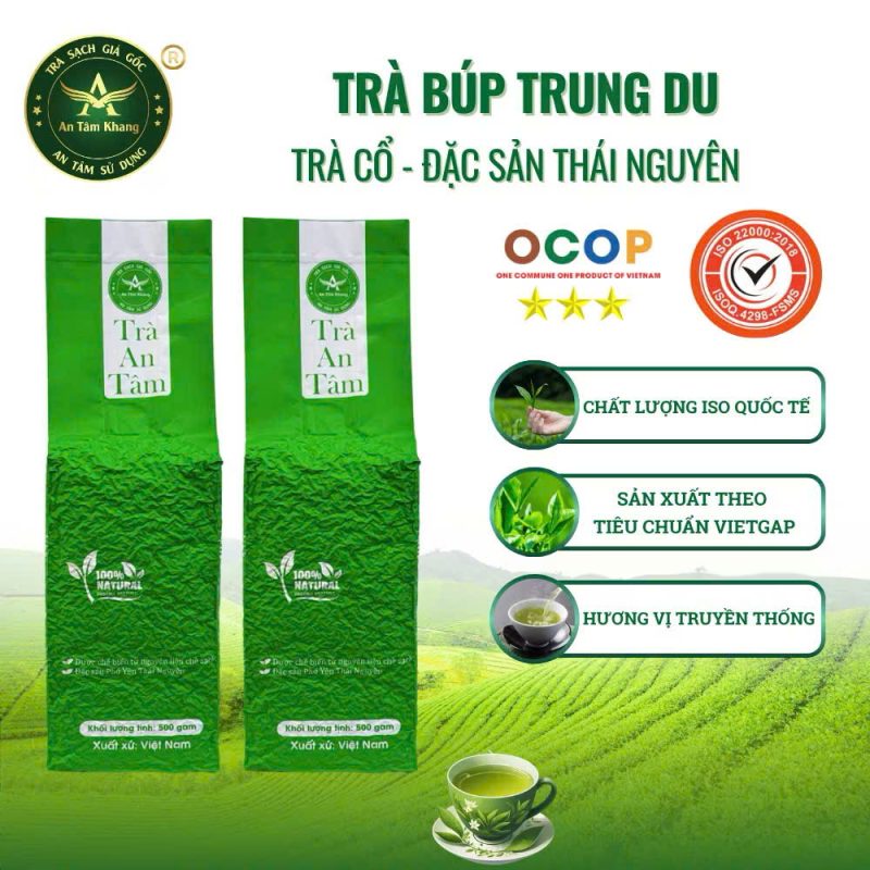 Chè Búp Trung Du Thái Nguyên - Chè Móc Câu An Tâm Khang - Loại 200g|500g|1kg - Đặc Sản Thái Nguyên