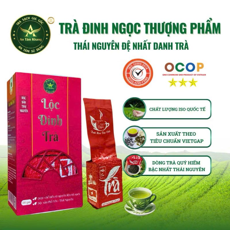 Trà Đinh Ngọc Thượng Phẩm – Trà Xanh Thái Nguyên An Tâm Khang – Hộp 500g (5 Gói × 100g) Quà Biếu