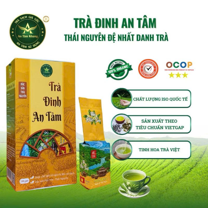 Trà Đinh An Tâm – Trà Thái Nguyên Cao Cấp – Trà Xanh Hộp 500g (5 gói x 100g) – Quà Biếu