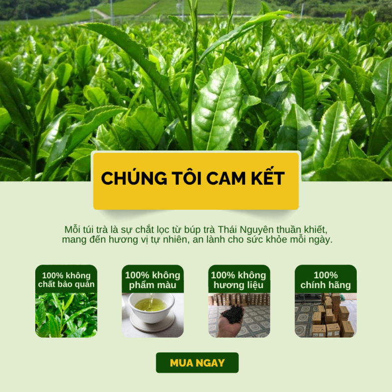 Cam kết chất lượng trà An Tâm Khang – sạch, nguyên chất, đúng nguồn gốc và hoàn tiền nếu không hài lòng.